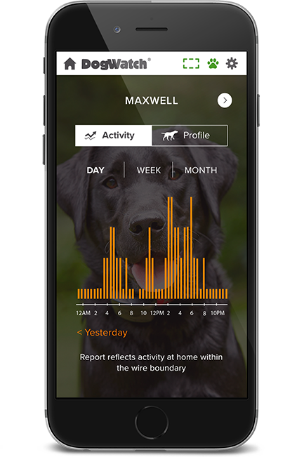 DogWatch of Greater San Antonio, San Antonio, Texas | SmartFence WebApp Image