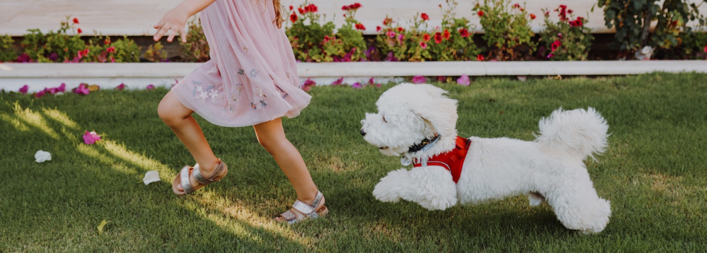 DogWatch of Greater San Antonio, San Antonio, Texas | Outdoor Hidden Dog Fences Slider Image